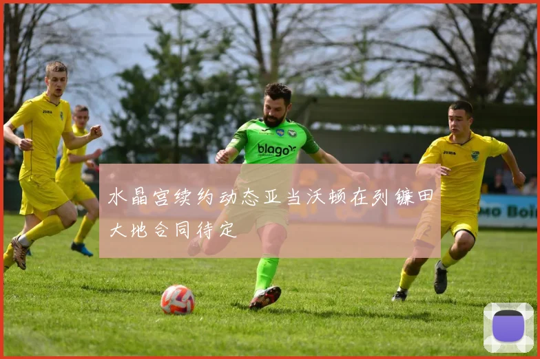 水晶宫续约动态亚当沃顿在列镰田大地合同待定