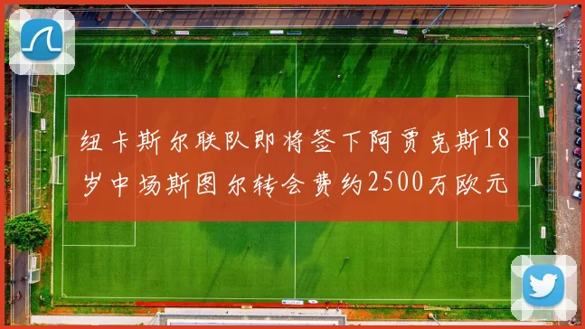 纽卡斯尔联队即将签下阿贾克斯18岁中场斯图尔转会费约2500万欧元